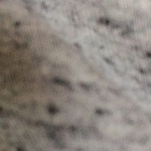 Meet your Posher, Jack